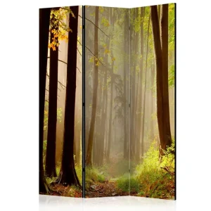 Trygg betalning Rumsavdelare - Mysterious forest path 135x172 Artgeist sp. z o. o. - Inredning