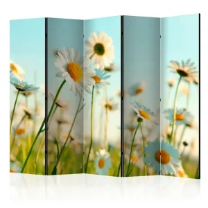 Rumsavdelare - Daisies - spring meadow II 225x172 Artgeist sp. z o. o. - Inredning Fynd
