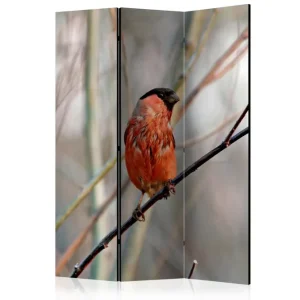 Rumsavdelare - Bullfinch in the forest 135x172 Artgeist sp. z o. o. - Inredning Trygg betalning