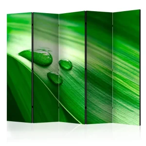 Premium Rumsavdelare - Leaf and three drops of water II 225x172 Artgeist sp. z o. o. - Inredning