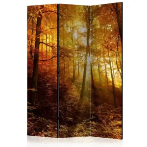 Trygg betalning Rumsavdelare - Autumn Illumination 135x172 Artgeist sp. z o. o. - Inredning