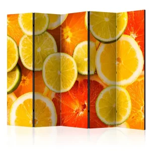 Endast idag Rumsavdelare Citrus Fruits II 225x172 cm Artgeist sp. z o. o. - Inredning