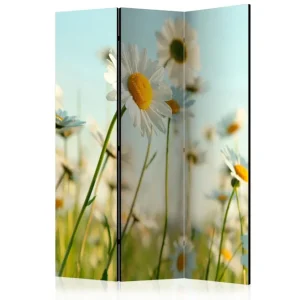 Rea Rumsavdelare Daisies - Spring Meadow 135x172 cm Artgeist sp. z o. o. - Inredning