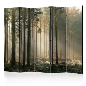 Rumsavdelare Foggy November Morning II 225x172 cm Artgeist sp. z o. o. - Inredning Snabb leverans