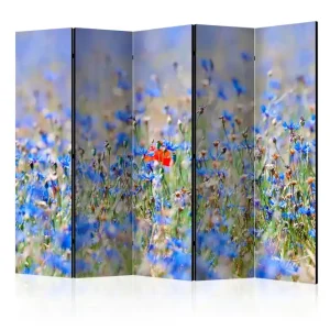 Rumsavdelare A Sky-Colored Meadow 225x172 cm Artgeist sp. z o. o. - Inredning Bästa pris