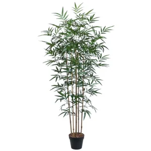 Populär Grön växt BAMBOO H150cm 5 grenar svart kruka - Inredning