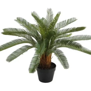 Säker betalning Grön växt CYCAS H70cm svart kruka - Inredning