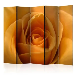Rumsavdelare - Yellow rose – symbol friendship 225x172 Artgeist sp. z o. o. - Inredning I lager