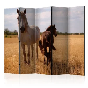 Rumsavdelare - Horse and foal II 225x172 Artgeist sp. z o. o. - Inredning Erbjudande