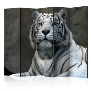 Fynd Rumsavdelare - Bengali tiger in zoo II 225x172 Artgeist sp. z o. o. - Inredning