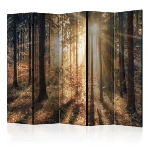 Begränsat erbjudande Rumsavdelare - Autumnal Forest II 225x172 Artgeist sp. z o. o. - Inredning