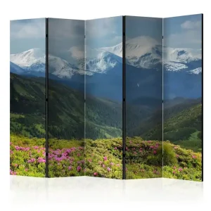 Billig Rumsavdelare - Spring mountain landscape II 225x172 Artgeist sp. z o. o. - Inredning