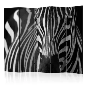 Rumsavdelare - White with black stripes II 225x172 Artgeist sp. z o. o. - Inredning Kampanjpris