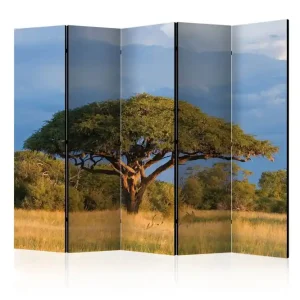 Rumsavdelare - African acacia tree, Hwange 225x172 Artgeist sp. z o. o. - Inredning Säker betalning