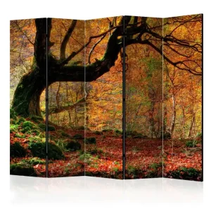 risnedsättning Rumsavdelare - Autumn, forest and leaves II 225x172 Artgeist sp. z o. o. - Inredning