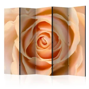 Populär Rumsavdelare - Peach-colored rose II 225x172 Artgeist sp. z o. o. - Inredning