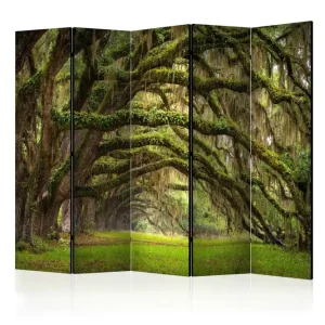 Rumsavdelare - Tree embrace II 225x172 Artgeist sp. z o. o. - Inredning Kampanjpris