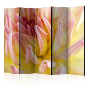 Erbjudandepris Rumsavdelare - Pastel colored dahlia flower 225x172 Artgeist sp. z o. o. - Inredning