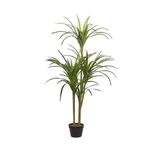 Berden Konstgjord Krukväxt 147 cm Dracaena anita Grön - Inredning Extra rabatt