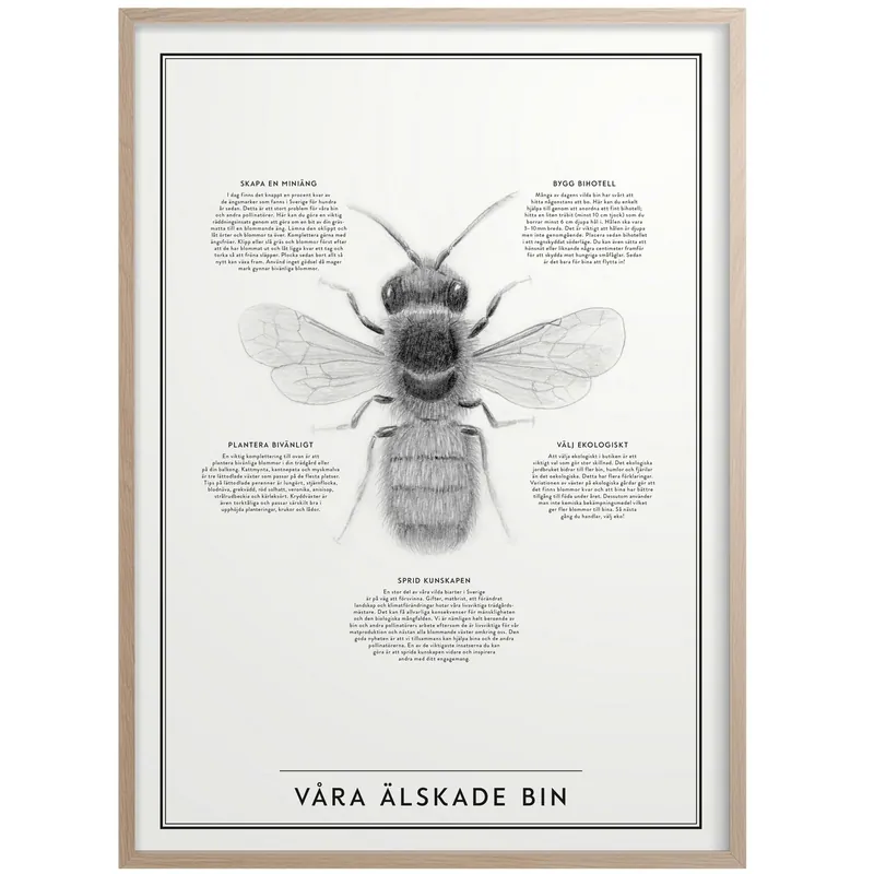 Premium Våra Älskade Bin Poster 50x70 cm