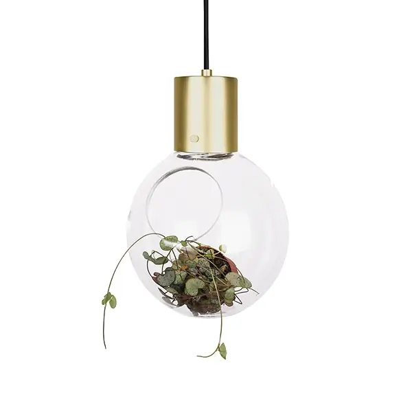 Lägg i varukorgen Mini Hole Pendel/Bordslampa Klar/Borstad Mässing