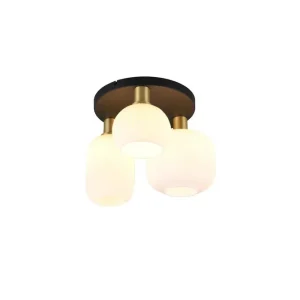 Lågt pris Trio Lighting Taklampa TRIO Diva Mattmässing/vit Mattmässing/vit - Belysning