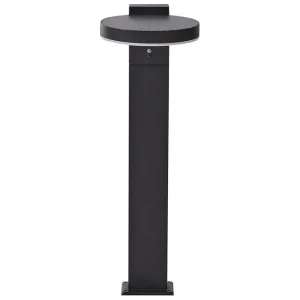 Hydra LED Solcellsbelysning 50 cm Svart - Belysning Fri frakt