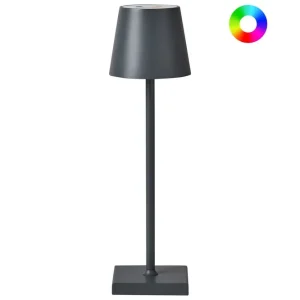 Rea Bravsi LED Skrivbordslampa Mörkgrå - Belysning