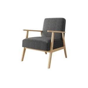 Rabatt Retro Fåtölj Grå - Möbler
