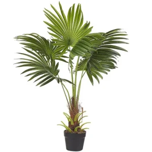 Populär Konstgjord växt Fan Palm - Inredning