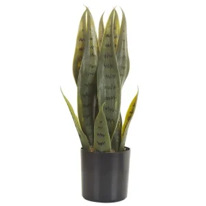 Beställ idag Konstgjord växt Snake Plant 10x10x40 cm 10x10x40 cm - Inredning