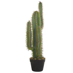 Populärt val Konstgjord växt Cactus - Inredning
