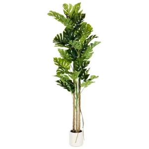 Konstgjord växt Monstera Plant 71x71x221 cm 71x71x221 cm - Inredning Fri frakt
