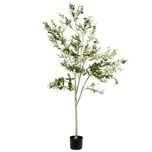 Populär Konstgjord växt Olive Tree 75x75x178 cm 75x75x178 cm - Inredning