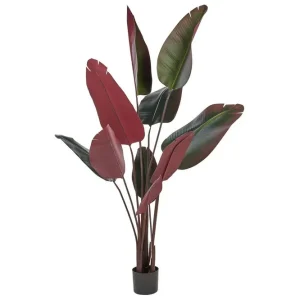 Rabatt Konstgjord växt Banana Tree Grön/svart/röd, 95x95x170 cm Grön/svart/röd, 95x95x170 cm - Inredning