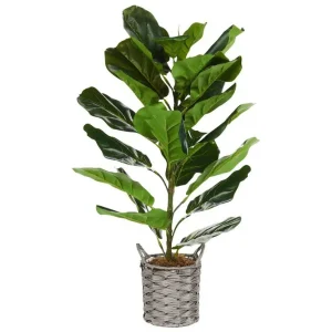 Extra rabatt Konstgjord växt Fiddle Leaf Tree - Inredning