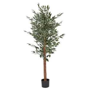 Beställ idag Konstgjord växt Ficus - Inredning