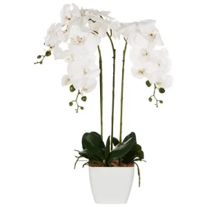 Konstgjord växt Orchid 22x22x59 cm 22x22x59 cm - Inredning I lager