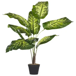 Konstgjord växt Dieffenbachia 16x16x122 cm 16x16x122 cm - Inredning Utförsäljning