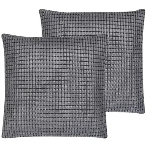Prydnadskuddar Aspidistra set om 2 - Textil & mattor Populär